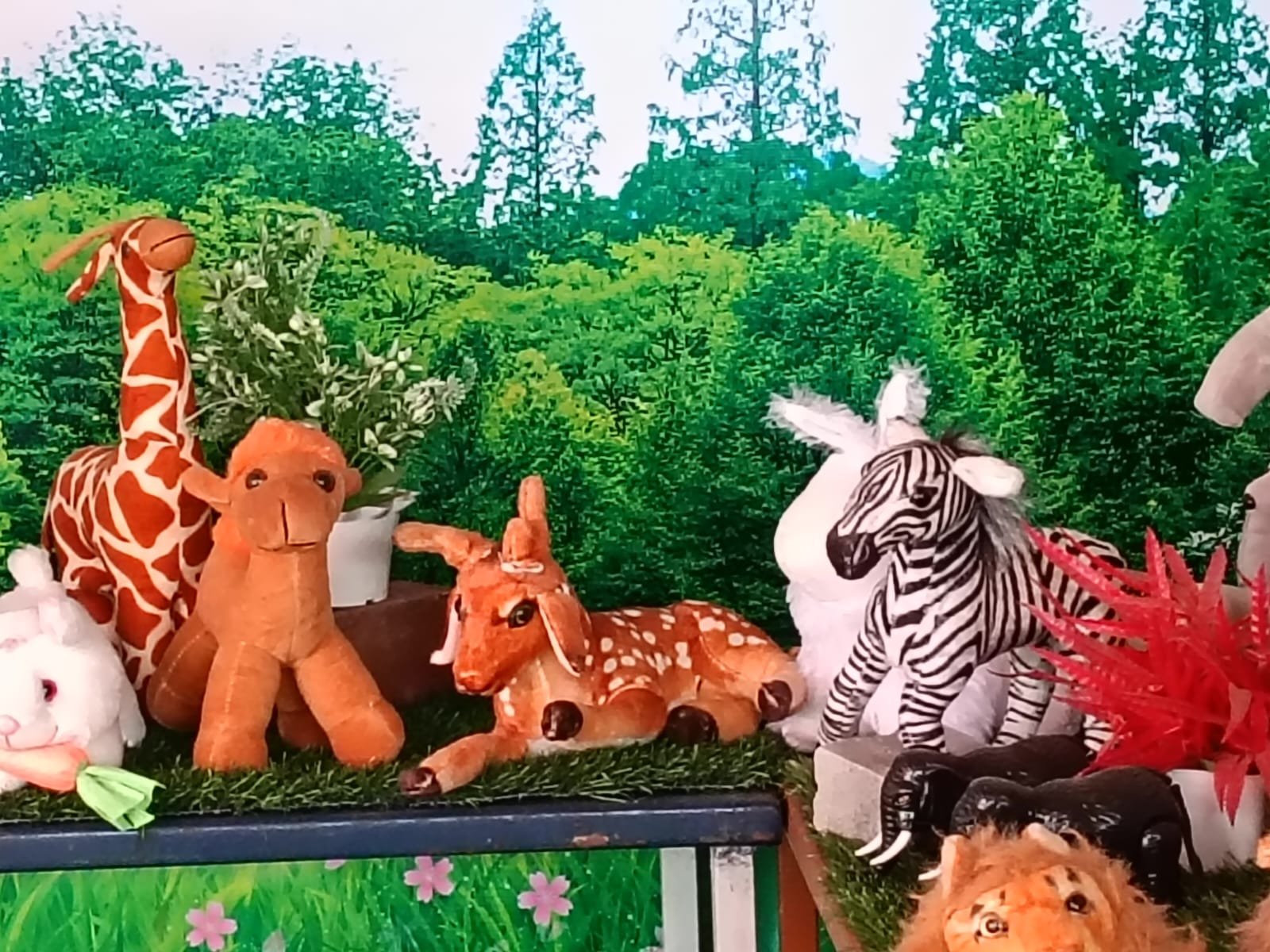 Toy Zoo Display